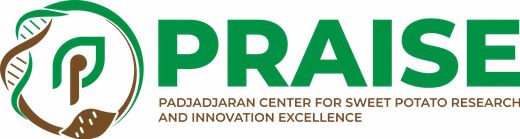 Padjadjaran Center for Sweet Potato Research and Innovation Excellence